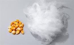 Is Sugar the New Black for Sustainable Fashion?